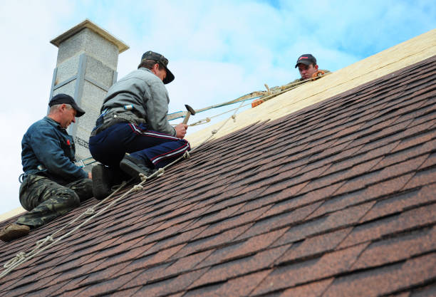 Best Commercial Roofing Services  in Brighton, MI